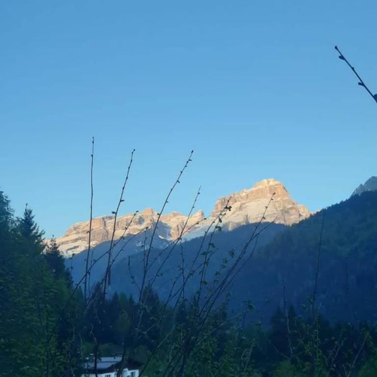 CASA VIDI - Appartamento con 2 Camere da Letto - 61