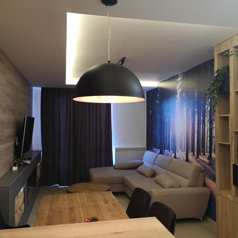 Jahorinska Vila - app SRCE JAHORINE - Apartment with Mountain View - 11