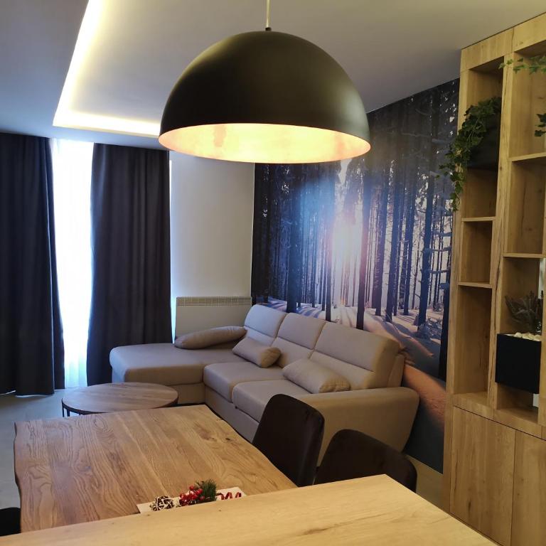 Jahorinska Vila - app SRCE JAHORINE - Apartment with Mountain View - 6