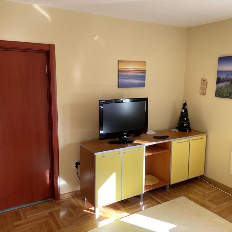 Yellow & Green Apartment - One-Bedroom Apartment - 15