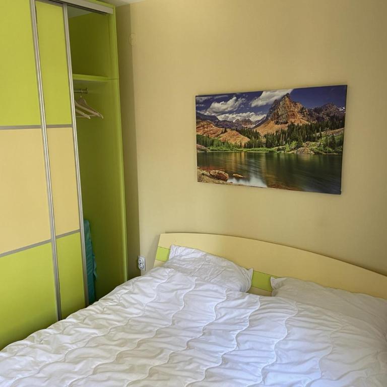 Yellow & Green Apartment - One-Bedroom Apartment - 22