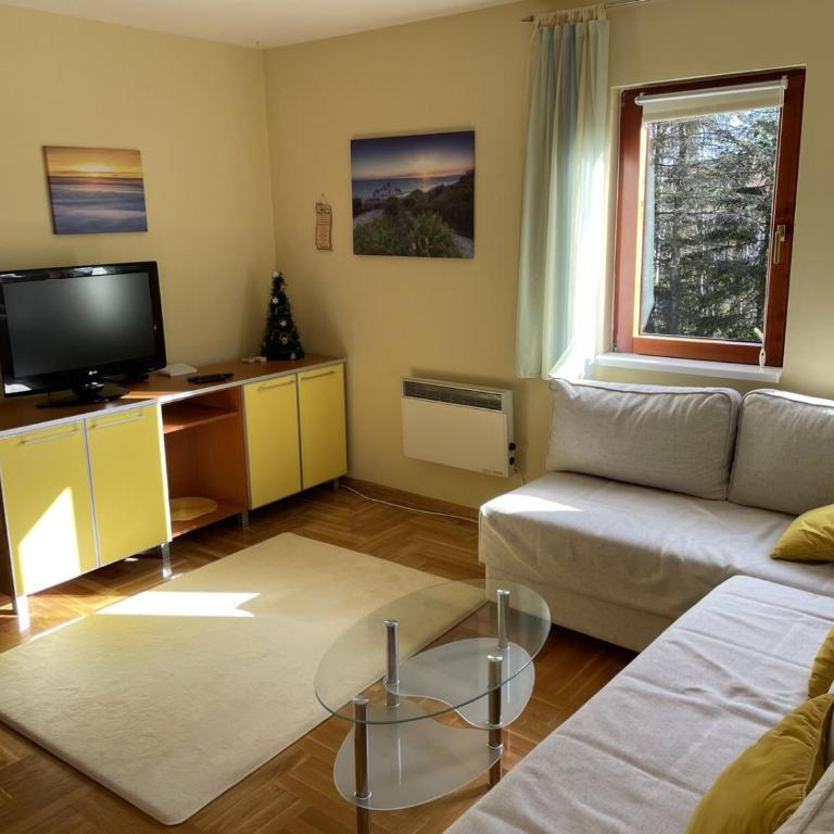 Yellow & Green Apartment - One-Bedroom Apartment - 21
