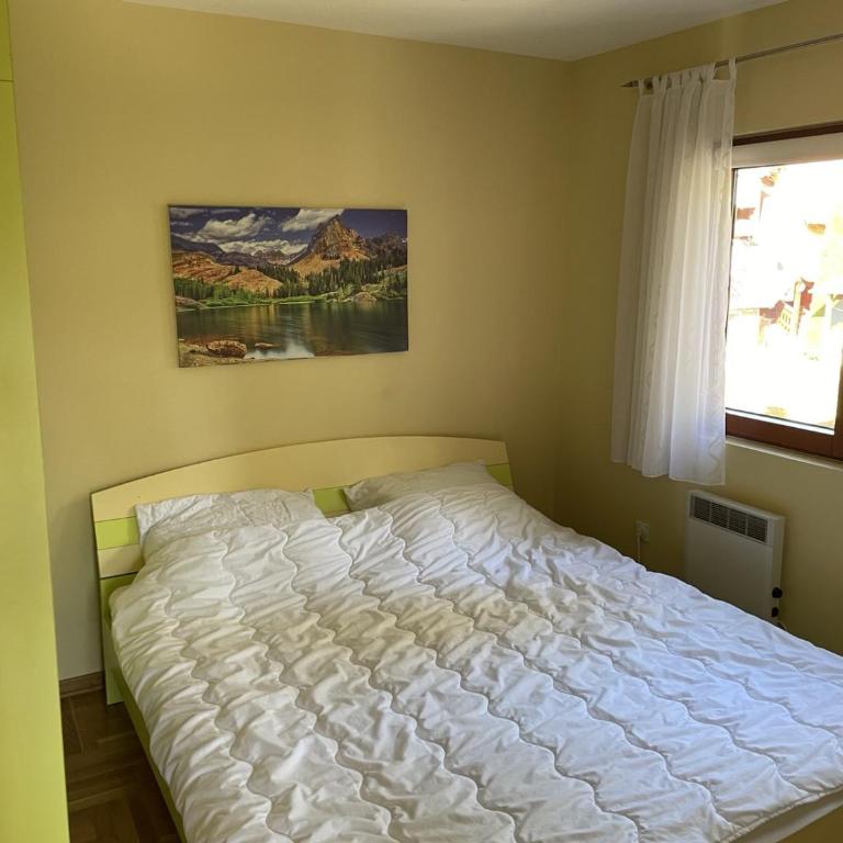 Yellow & Green Apartment - One-Bedroom Apartment - 20