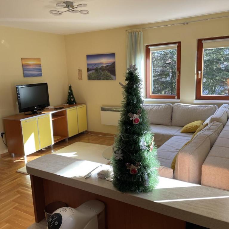 Yellow & Green Apartment - One-Bedroom Apartment - 23