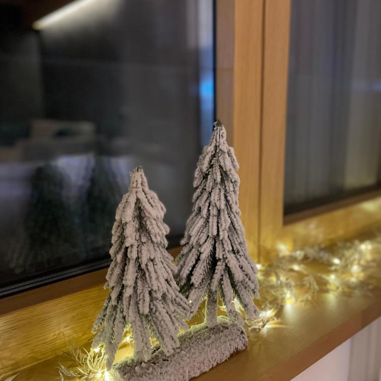 Apartman Kopaonik Woodside 106 - Deluxe King Studio - 9