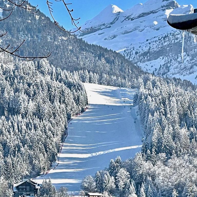 T3 Appartement haute-Savoie Carroz - Appartement 2 Chambres - 6
