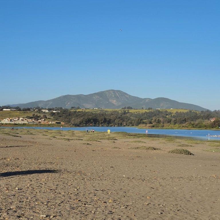 Bocamar Aparthotel - Apartamento con vistas al mar - 7