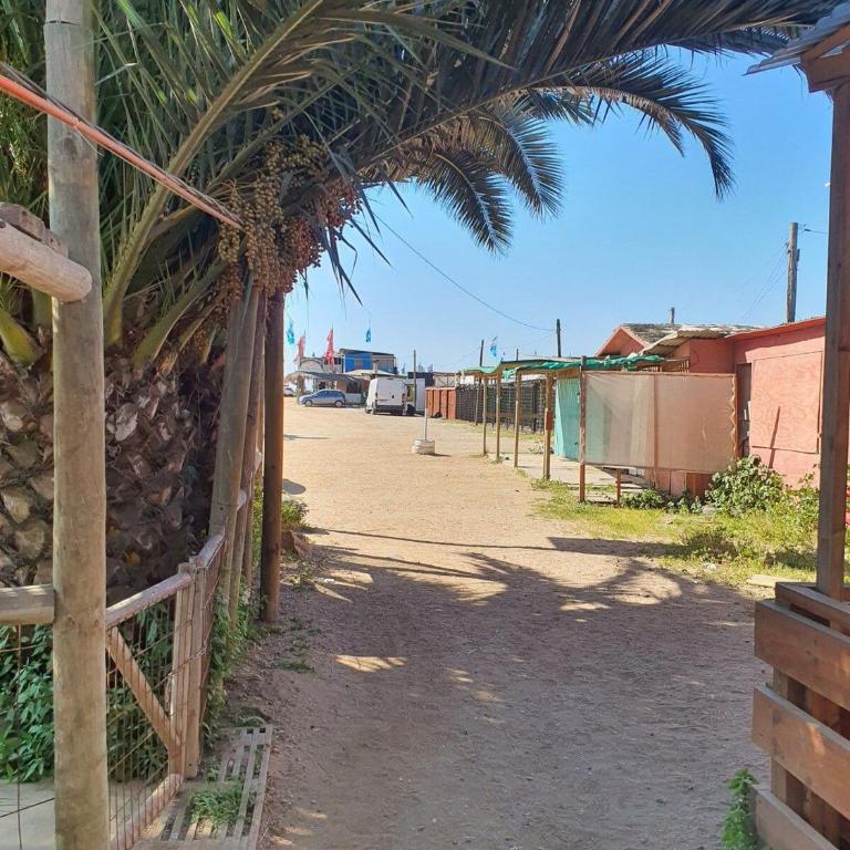 Bocamar Aparthotel - Apartamento con vistas al mar - 10