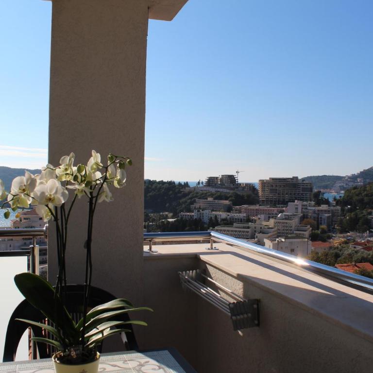 Mila & Aleksandr Apartments - Deluks Apartman - 1