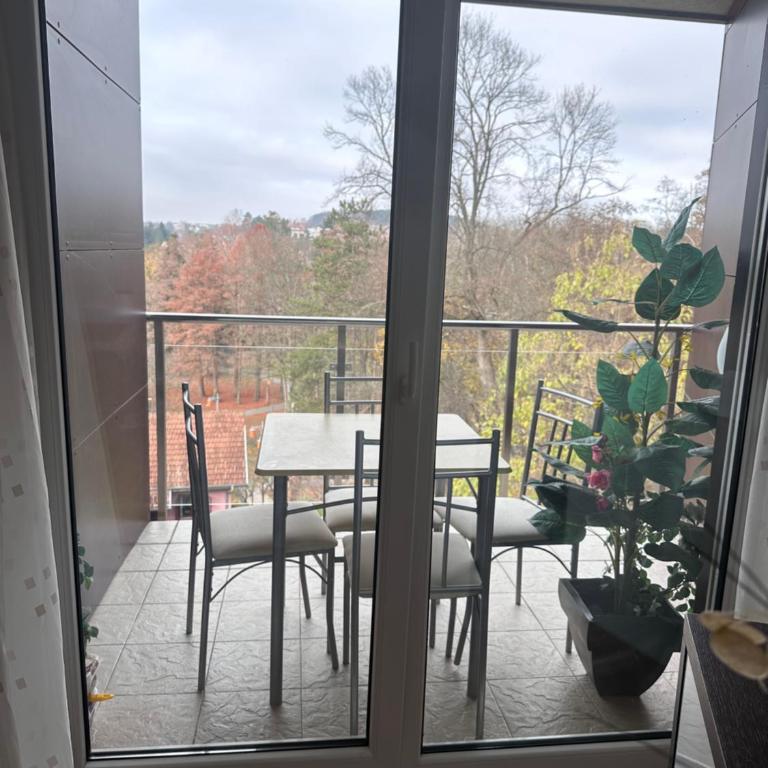 Prelep Pogled, Elegantan Komfor Blizu Centra, Besplatan Parking, Apartman Floresta - Apartman sa 1 Spavaćom Sobom - 34