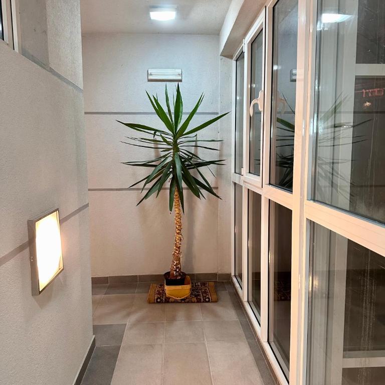 Prelep Pogled, Elegantan Komfor Blizu Centra, Besplatan Parking, Apartman Floresta - Apartman sa 1 Spavaćom Sobom - 36