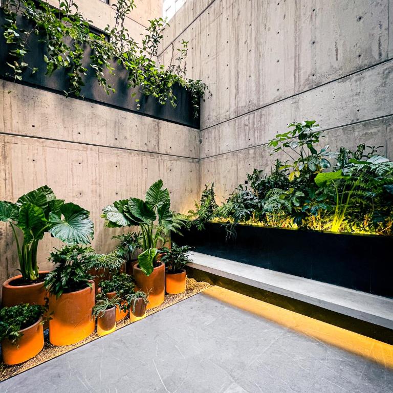 ANA Polanco - Patio Apartment - 5