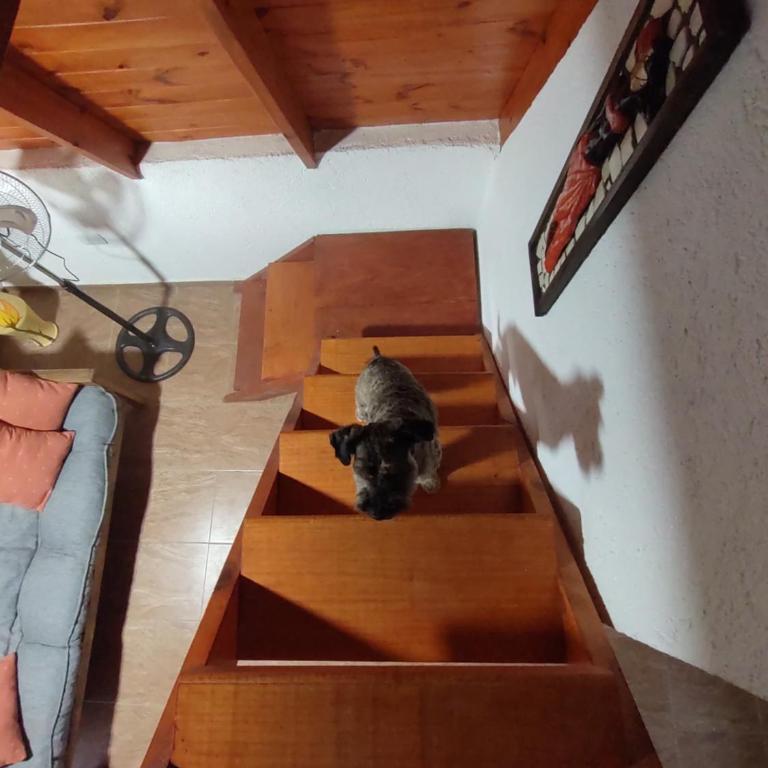 Alpina La Luna - Casa de 2 dormitorios - 6