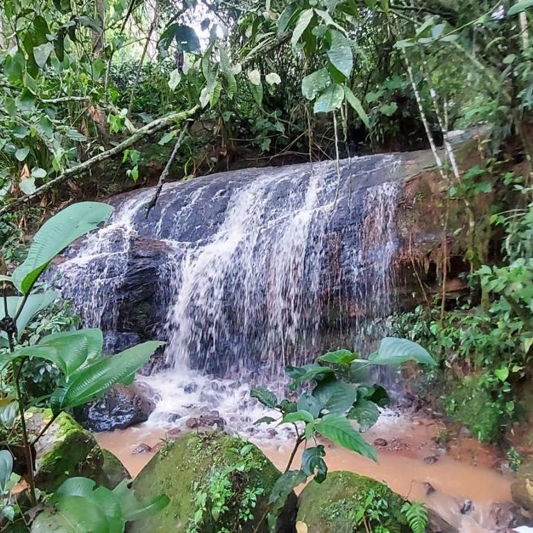 Estancia Café Cosecha Real - One-Bedroom Apartment - 13