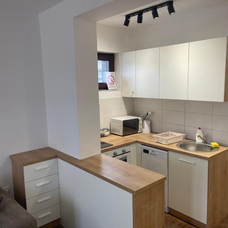 Desetka Kopaonik - Apartman sa 1 Spavaćom Sobom - 8