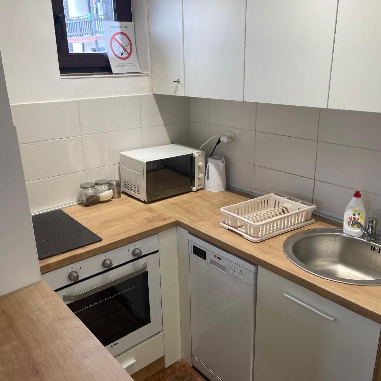 Desetka Kopaonik - Apartman sa 1 Spavaćom Sobom - 6