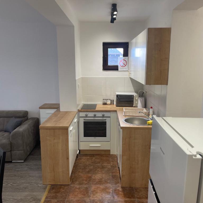 Desetka Kopaonik - Apartman sa 1 Spavaćom Sobom - 3