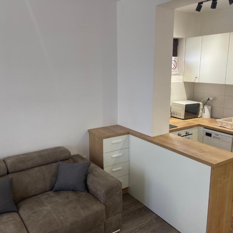 Desetka Kopaonik - Apartman sa 1 Spavaćom Sobom - 7