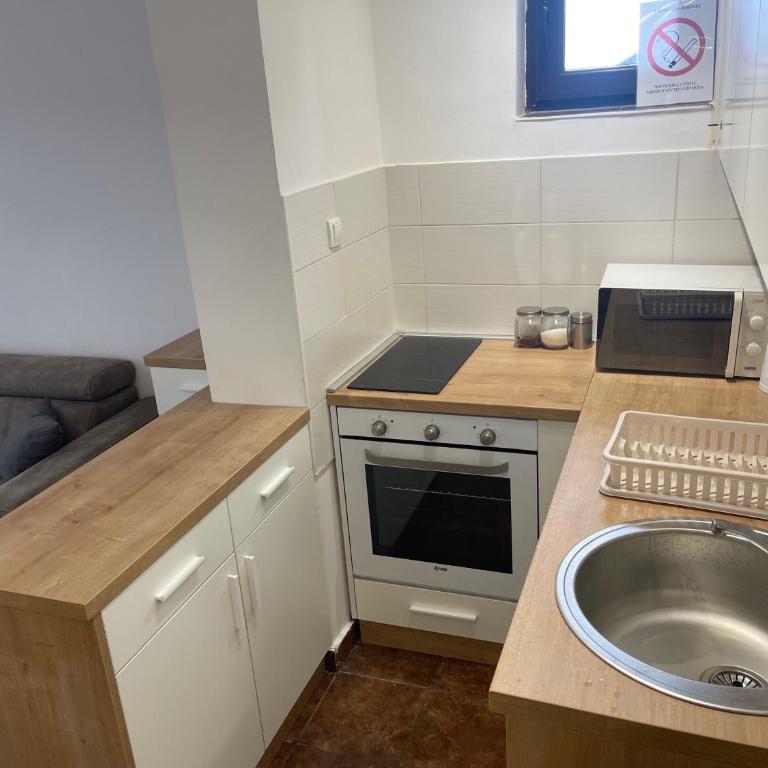 Desetka Kopaonik - Apartman sa 1 Spavaćom Sobom - 5