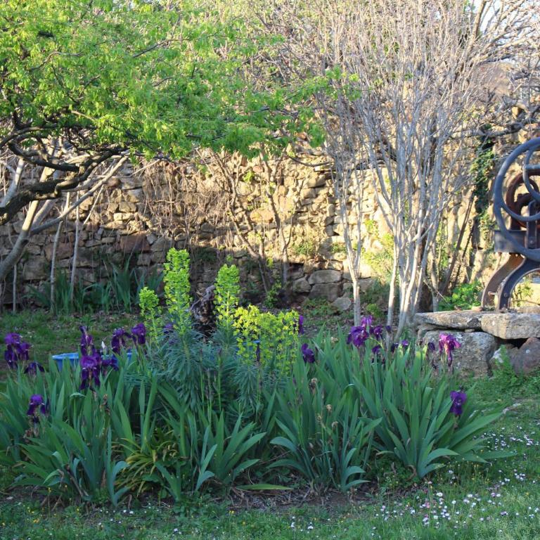 Mas Les Romarins, 10 min d'Uzès, piscine et grand jardin clos, jeux, nid de repos et base pour activités dans le Gard - Villa - Vue sur Jardin - 6