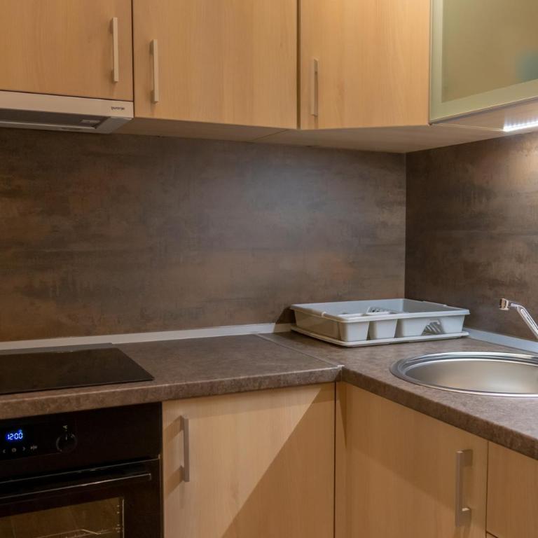 Apart Hotel Maksimum - Deluks Porodični Apartman Tipa "Suite" - 1