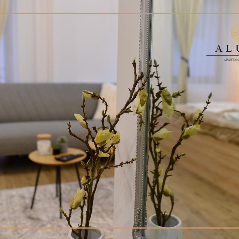 Aluna LUX Zlatibor - One-Bedroom Apartment - 17