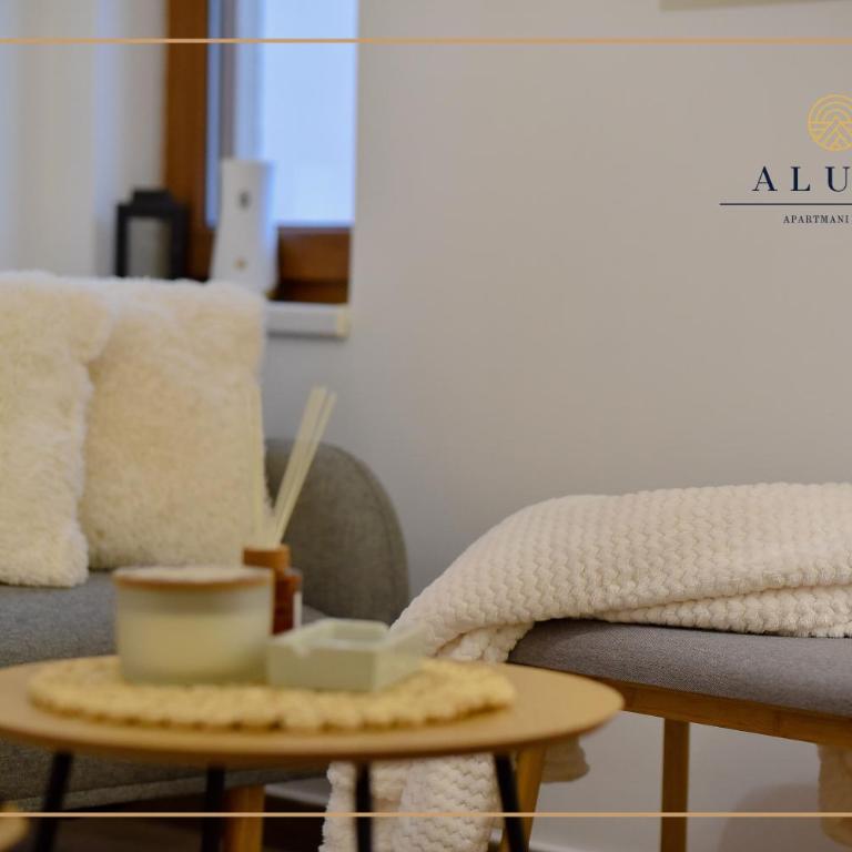 Aluna LUX Zlatibor - One-Bedroom Apartment - 14