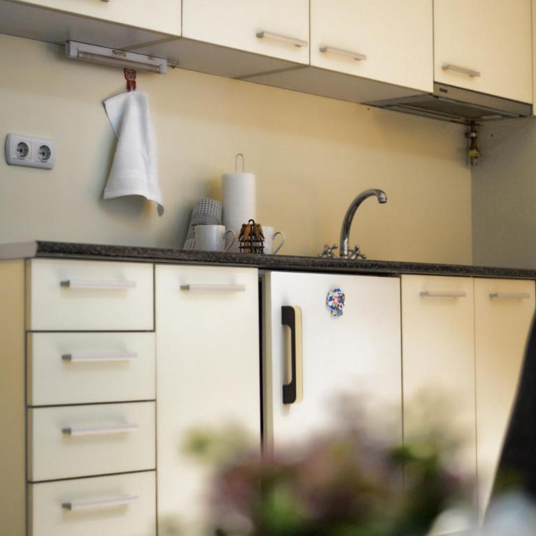 Gold Studio Apartmani - Apartman sa 1 Spavaćom Sobom - 3