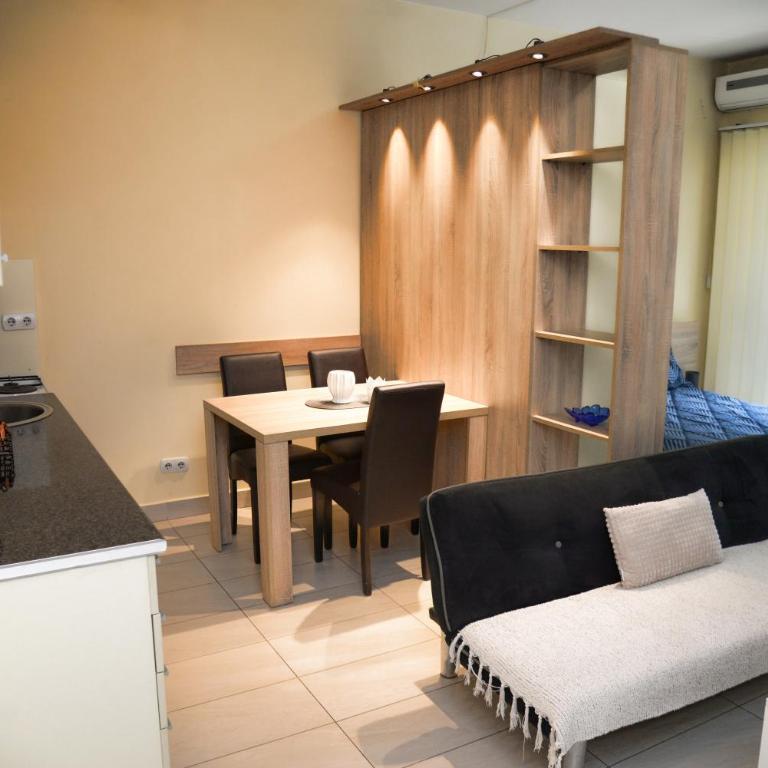 Gold Studio Apartmani - Apartman sa 1 Spavaćom Sobom - 4
