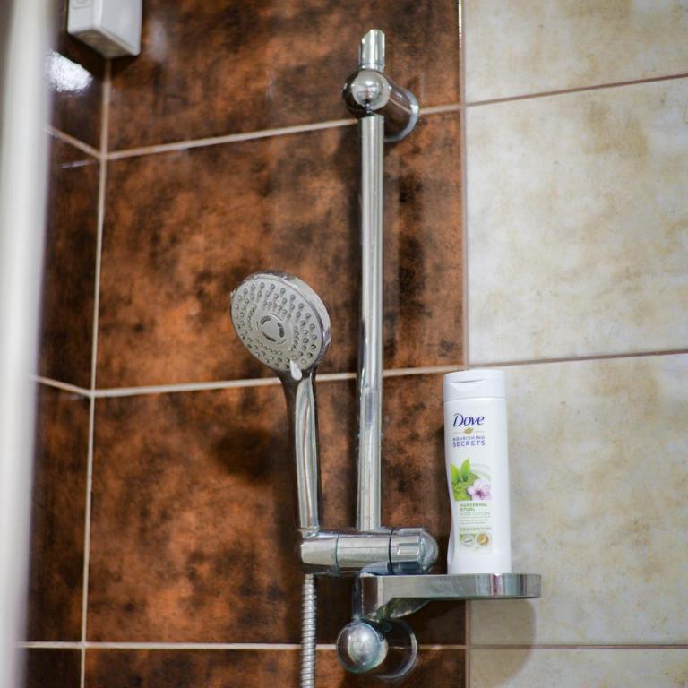 Gold Studio Apartmani - Apartman sa 1 Spavaćom Sobom - 6