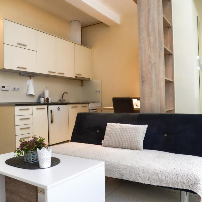 Gold Studio Apartmani - Apartman sa 1 Spavaćom Sobom - 10