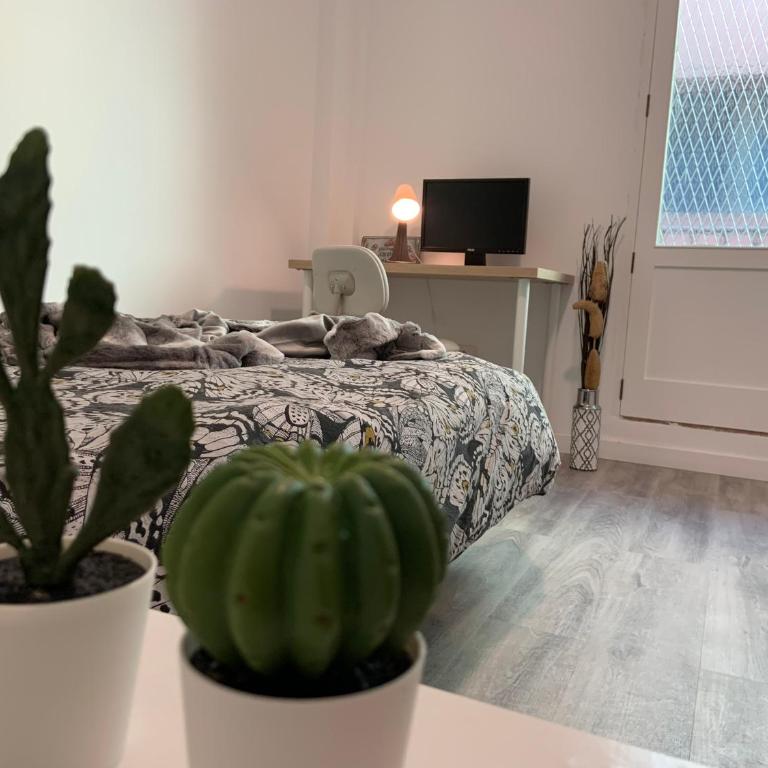 CoLiving El Toro - Habitación Doble con balcón - 1