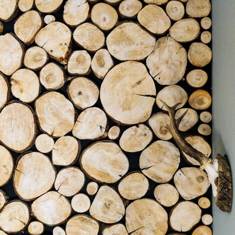 Alpine Kraft - Studio-Apartment - 3