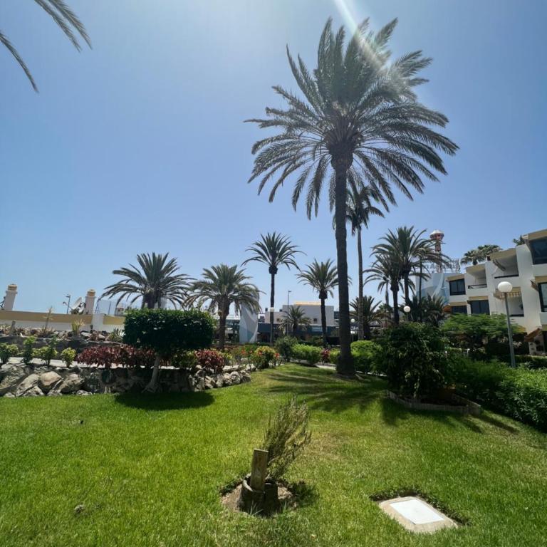 San Agustin apartments , close to the BEACH, with pool! - One-Bedroom Apartment - 12