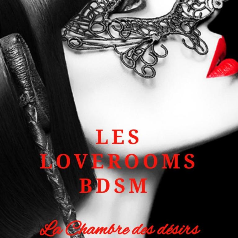 La loveroom bdsm de Nice " la chambre luxe des désirs " - Appartement 1 Chambre - 9
