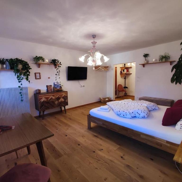 Gemütliches Studio mit Garagenparkplatz - Appartamento con 1 Camera da Letto - 1