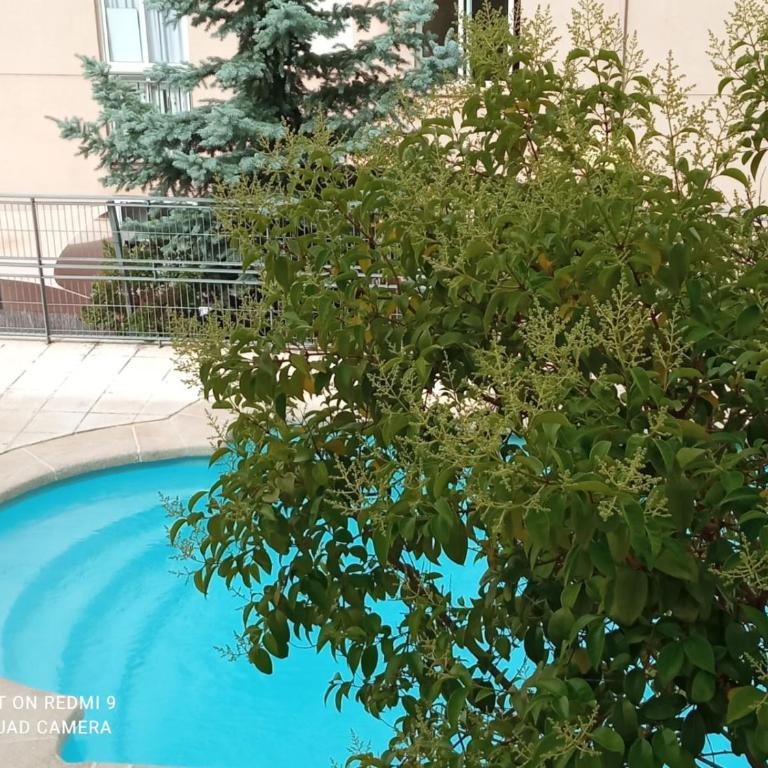 Sol de Poniente - One-Bedroom Apartment - 4
