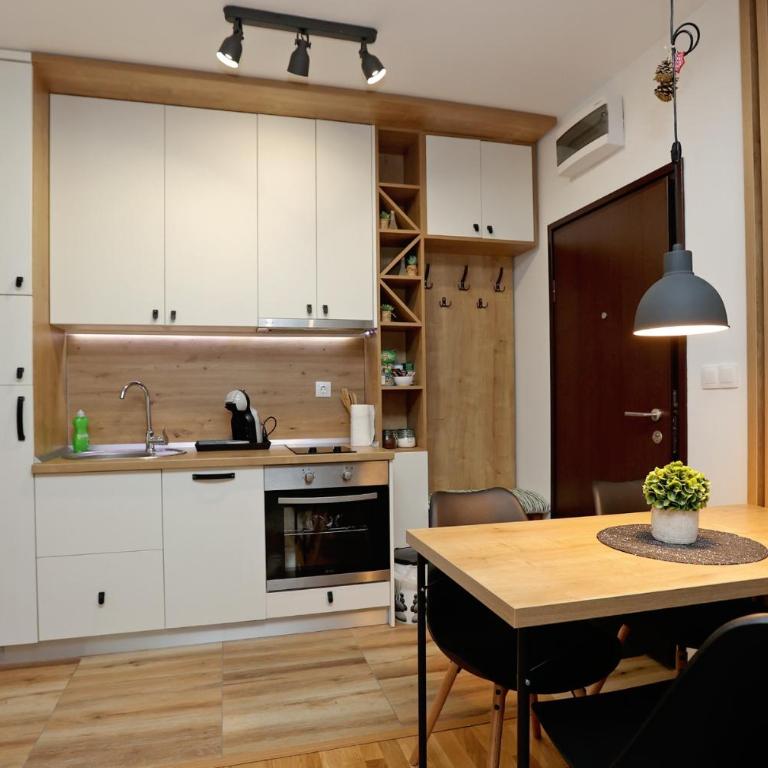 Apartman SKI Jahorina - Apartman sa 1 Spavaćom Sobom - 6