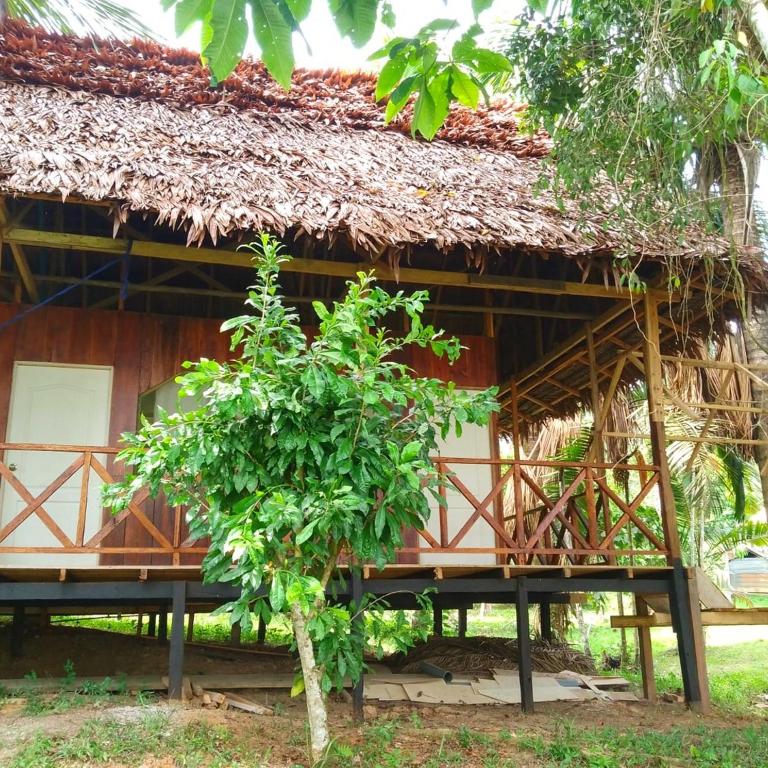 Amazon Lodge and Expeditions - Bungalow - Frente al agua - 15