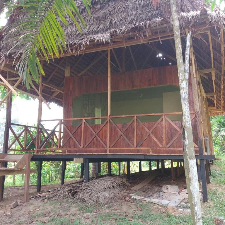 Amazon Lodge and Expeditions - Bungalow - Frente al agua - 18