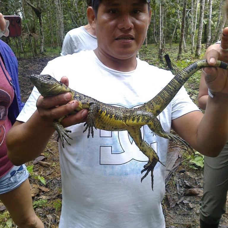 Amazon Lodge and Expeditions - Bungalow - Frente al agua - 19