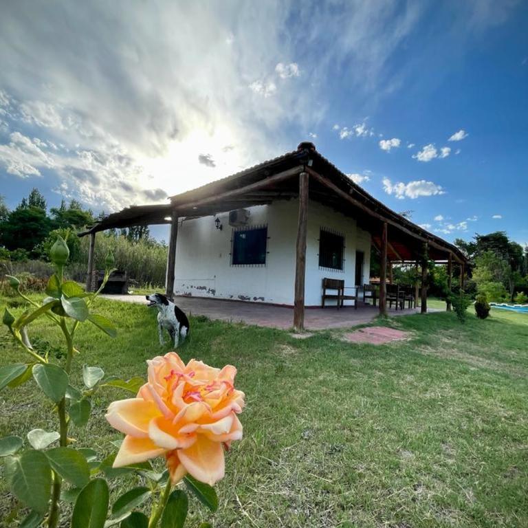 CABAÑAS LA PILARICA - Apartamento de 1 dormitorio - 26