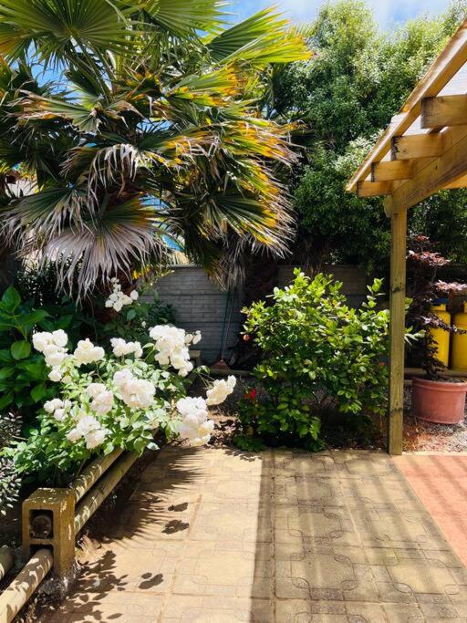 Cabaña Algarrobo - Two-Bedroom House - 14