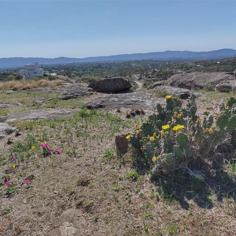 CABAÑAS PIRCAS DE CAMPO - Family Bungalow - 18