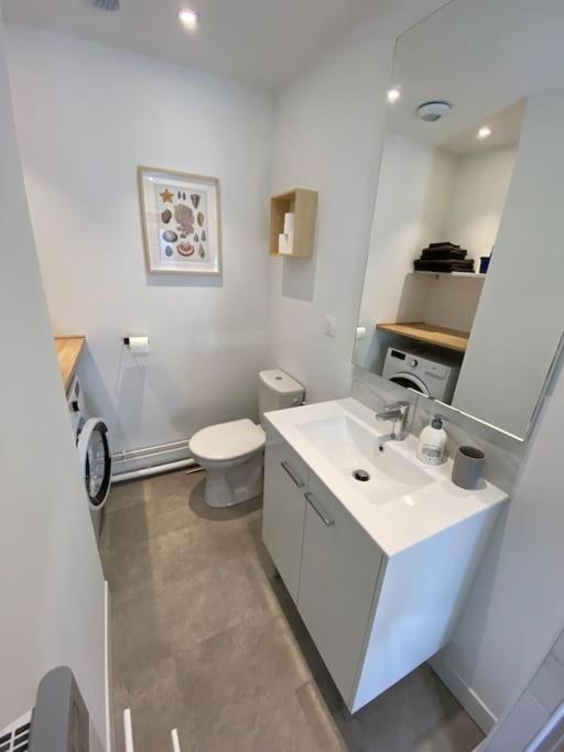 Chez Mathilde Studio Calais Nord Citadelle - Appartement 1 Chambre - 6
