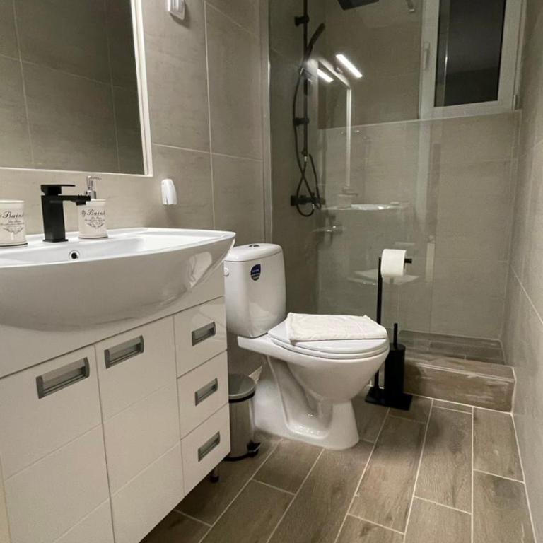 Filip Luxury Suite - Apartman sa 1 Spavaćom Sobom - 6