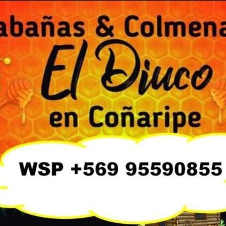 Cabañas El Diuco en Coñaripe 4 - Three-Bedroom Townhouse - 1