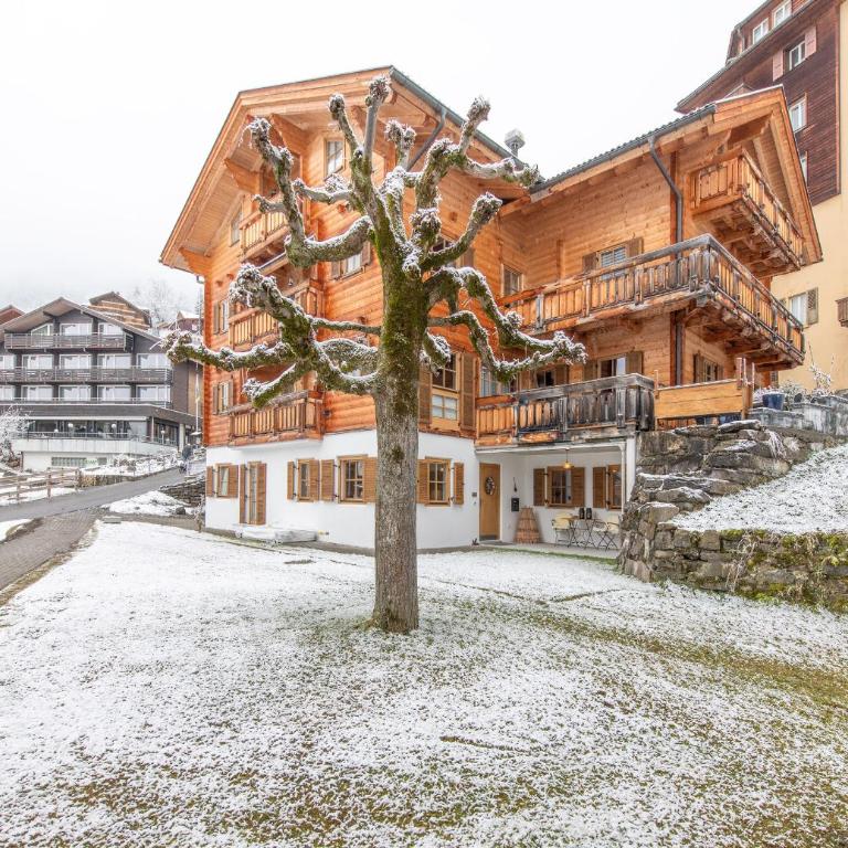 Chalet Alpina - Superior Apartment - 9