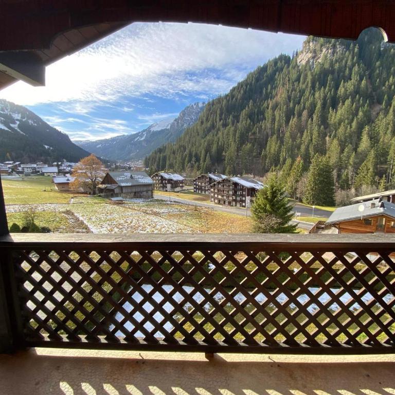 Appartement charmant, proche centre et animaux admis - FR-1-693-20 - Appartement - 3