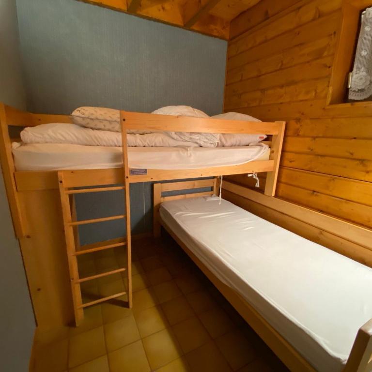 Appartement charmant, proche centre et animaux admis - FR-1-693-20 - Appartement - 7